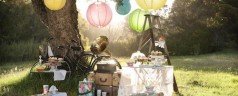Picks for a Pretty Spring Picnic