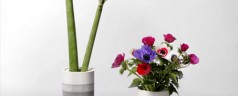 A Modern Flower Arrangement