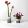 A Modern Flower Arrangement A Modern Flower Arrangement
