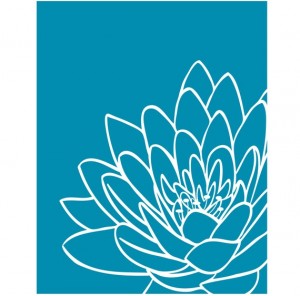 Chrysanthemum on Blue
