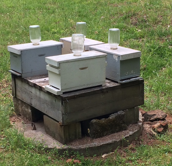 Honey Bee Nukes Southern Beekeeping