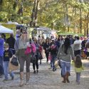 Enjoy A Little Festival Fun at the Chastain Park Fall Arts & Crafts Festival
