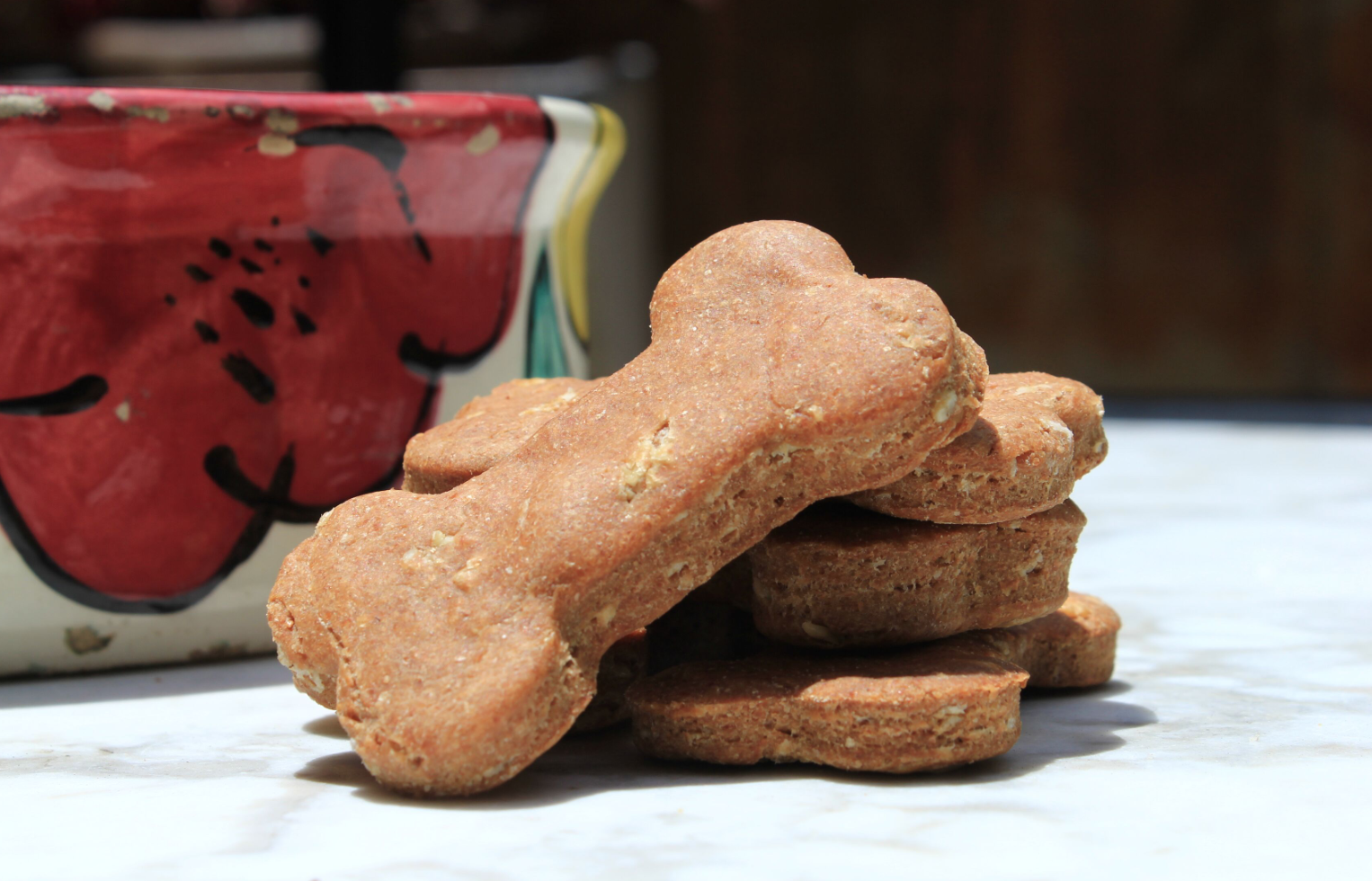 Celebrate National Dog Biscuit Day with Special Treats from PARISH